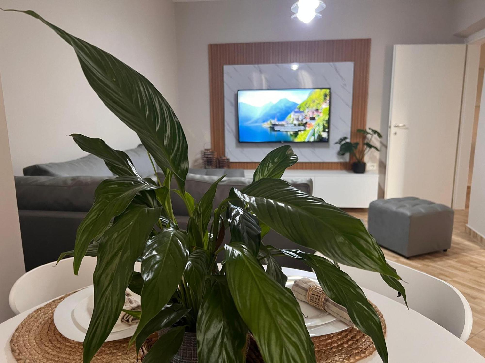 New Modern Tirana Apartment מראה חיצוני תמונה